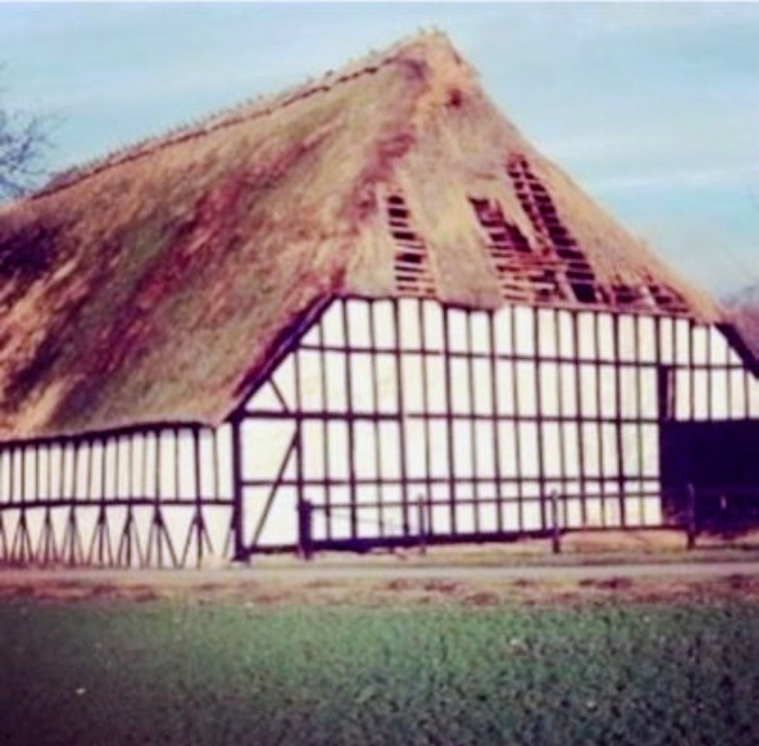 Eos – lysestage i genbrugsegetræ