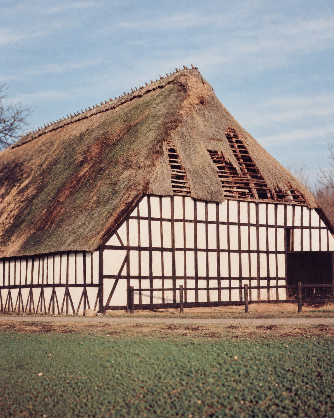 Eos – lysestage i 4-500 år gammelt genbrugsegetræ (1 stk.)